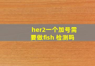 her2一个加号需要做fish 检测吗